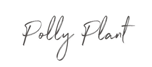 Polly Plant